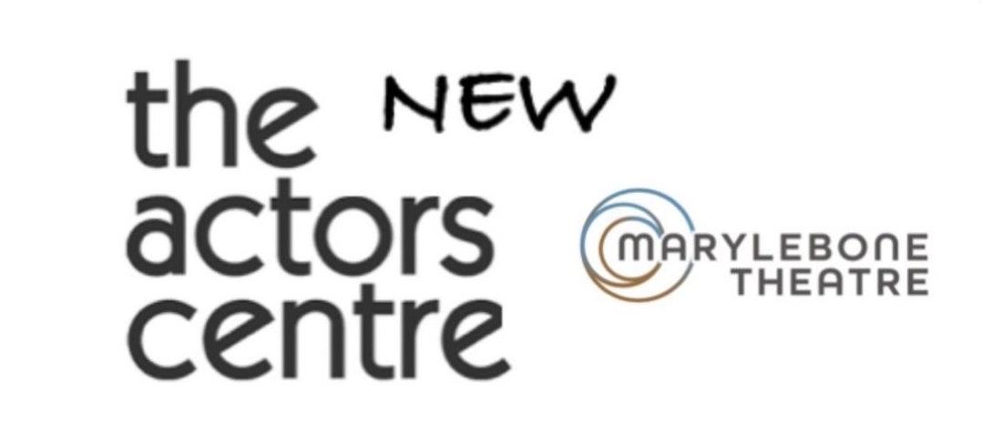 Rosie Nicholls' SKETCH BOOK COMEDY: WIP MATERIAL CLASS